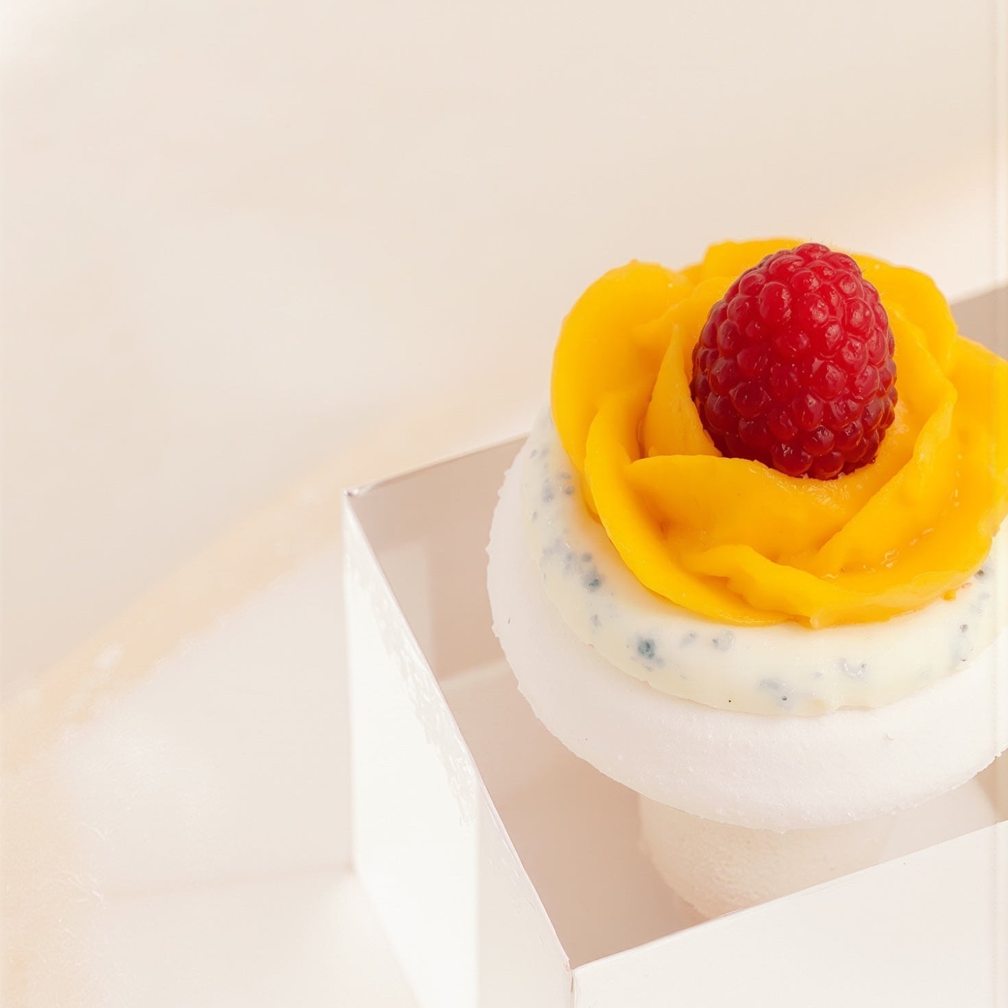 Roma Pavlova